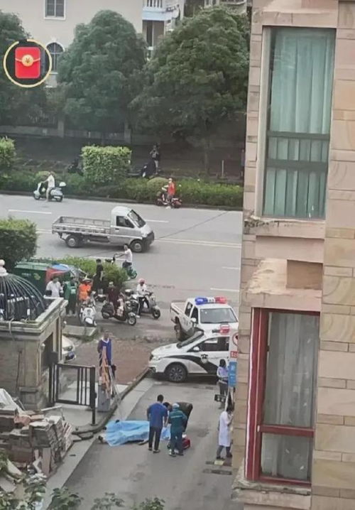 自作孽 一次争执引发的生命警示